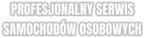 PROFESJONALNY SERWIS SAMOCHODÓW OSOBOWYCH